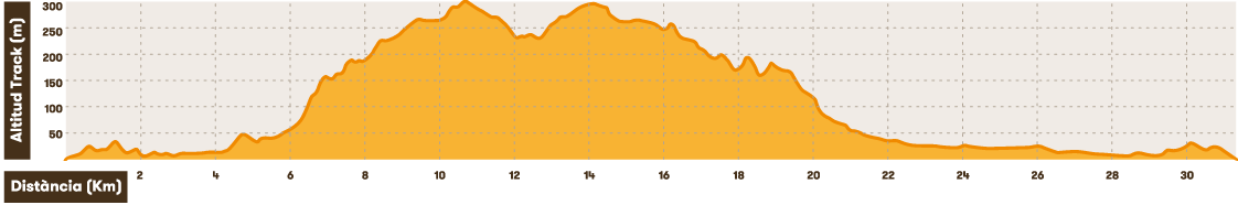 ruta11